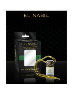 parfums voiture tropical