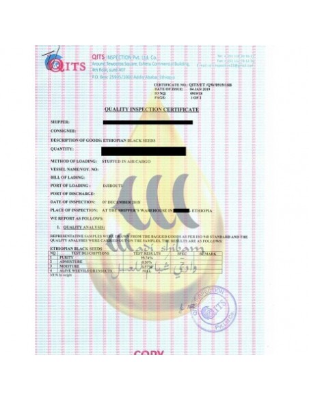 Habachia Wadi Shibam Zwarte Zaadolie