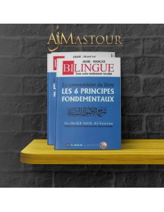 commentaar op de 6 basisprincipes