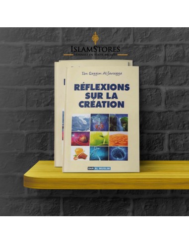 Reflecties op de schepping