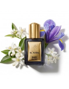 musk el nabil baby musk